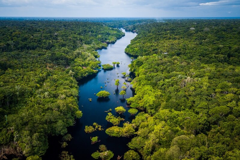 verminderen en de biodiversiteit in het Amazonewoud behouden